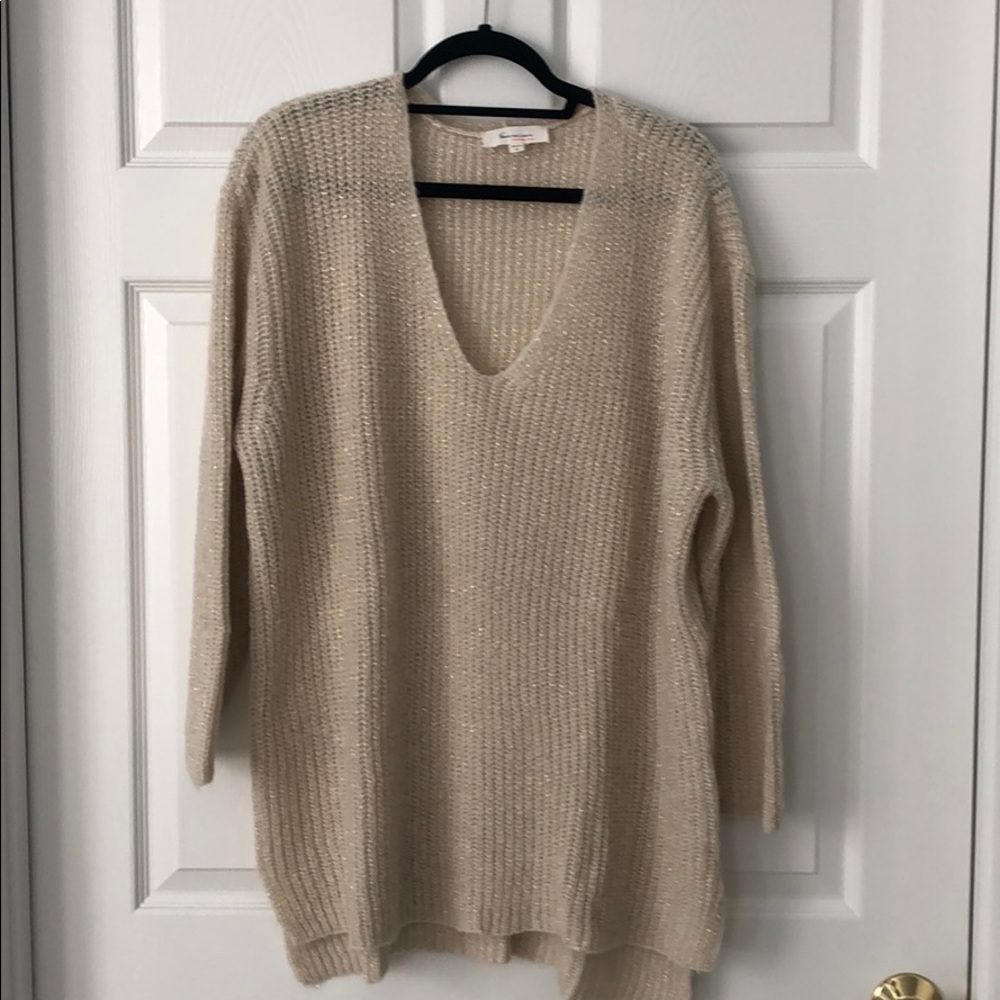 V-neck Sweater